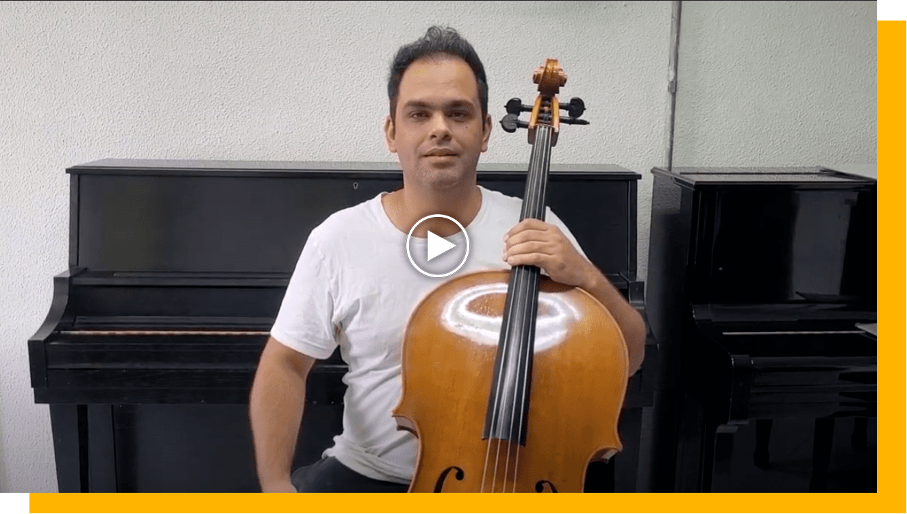 Video Ricardo Herz